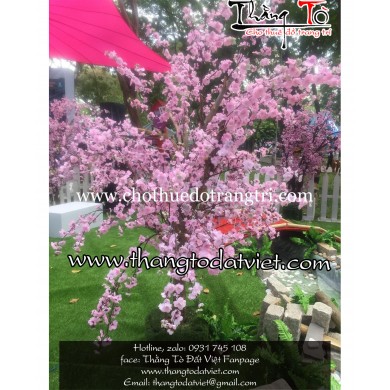 cho thuê cảnh Nhật bản 2